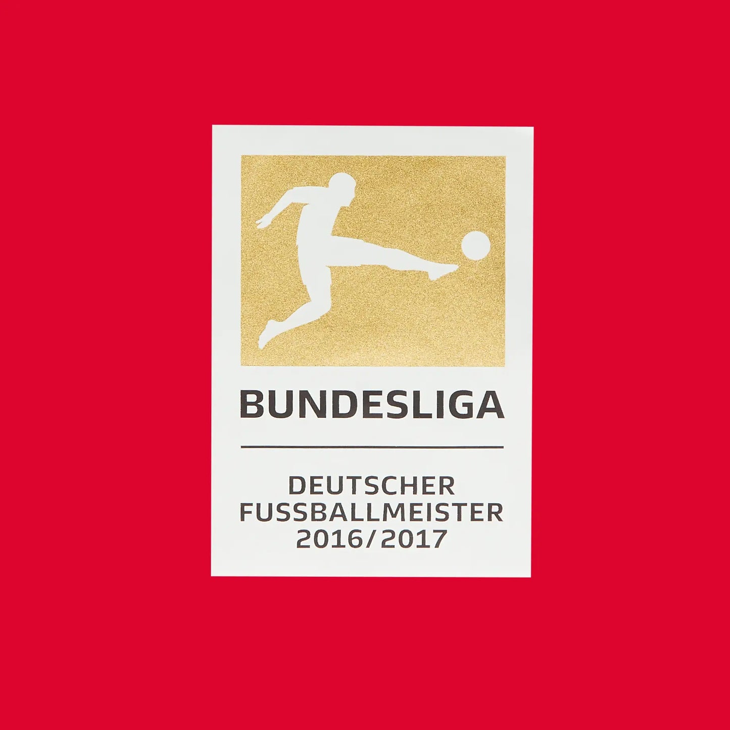 Bundesliga 2016-2017 sleeve patch