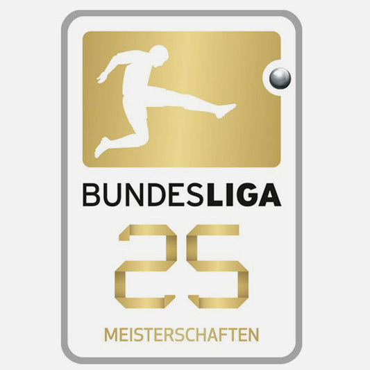 Bundesliga 2016-2017 Bayern 25 sleeve patch
