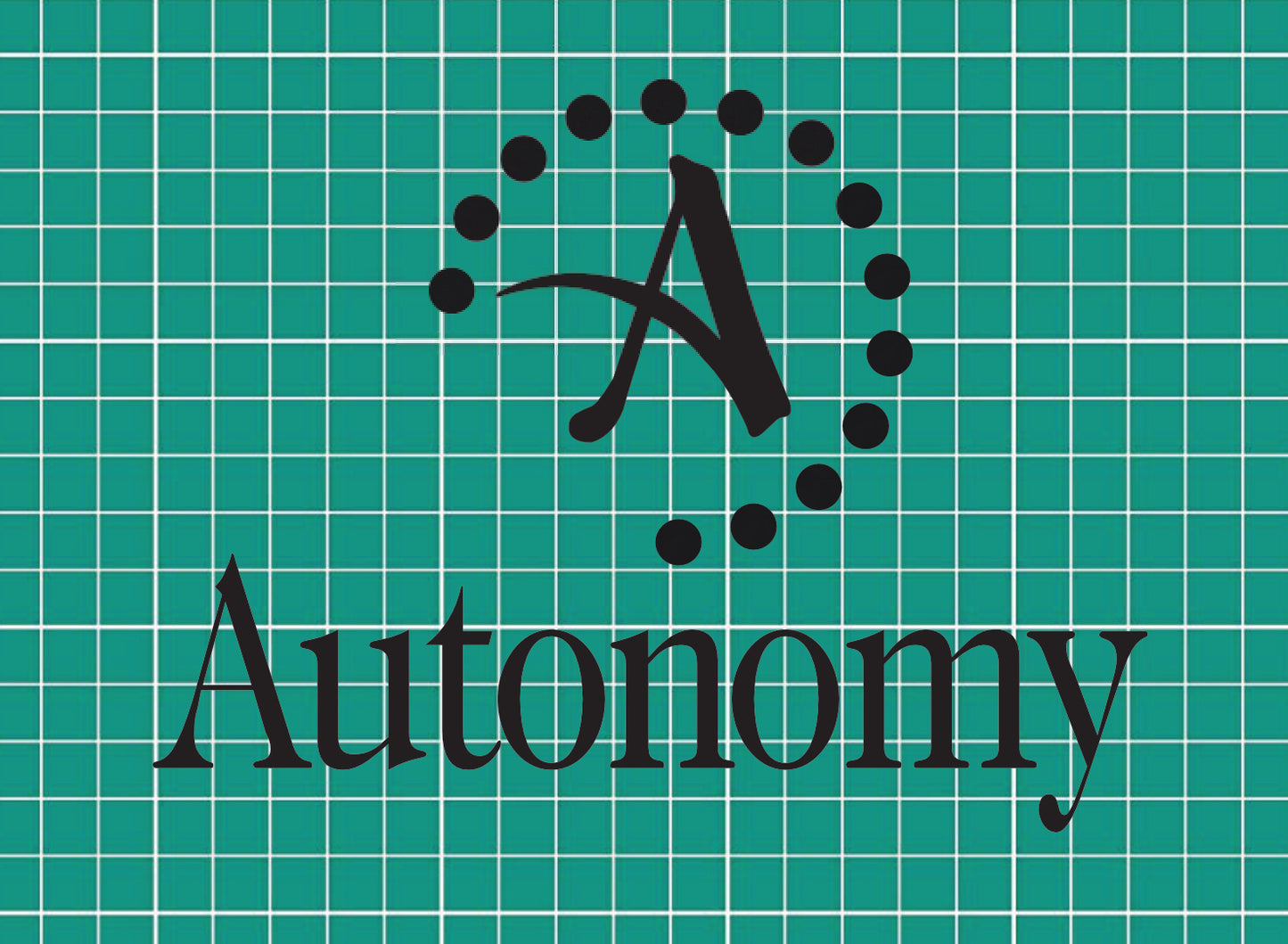 Autonomy Tottenham front sponsor 2010/2012